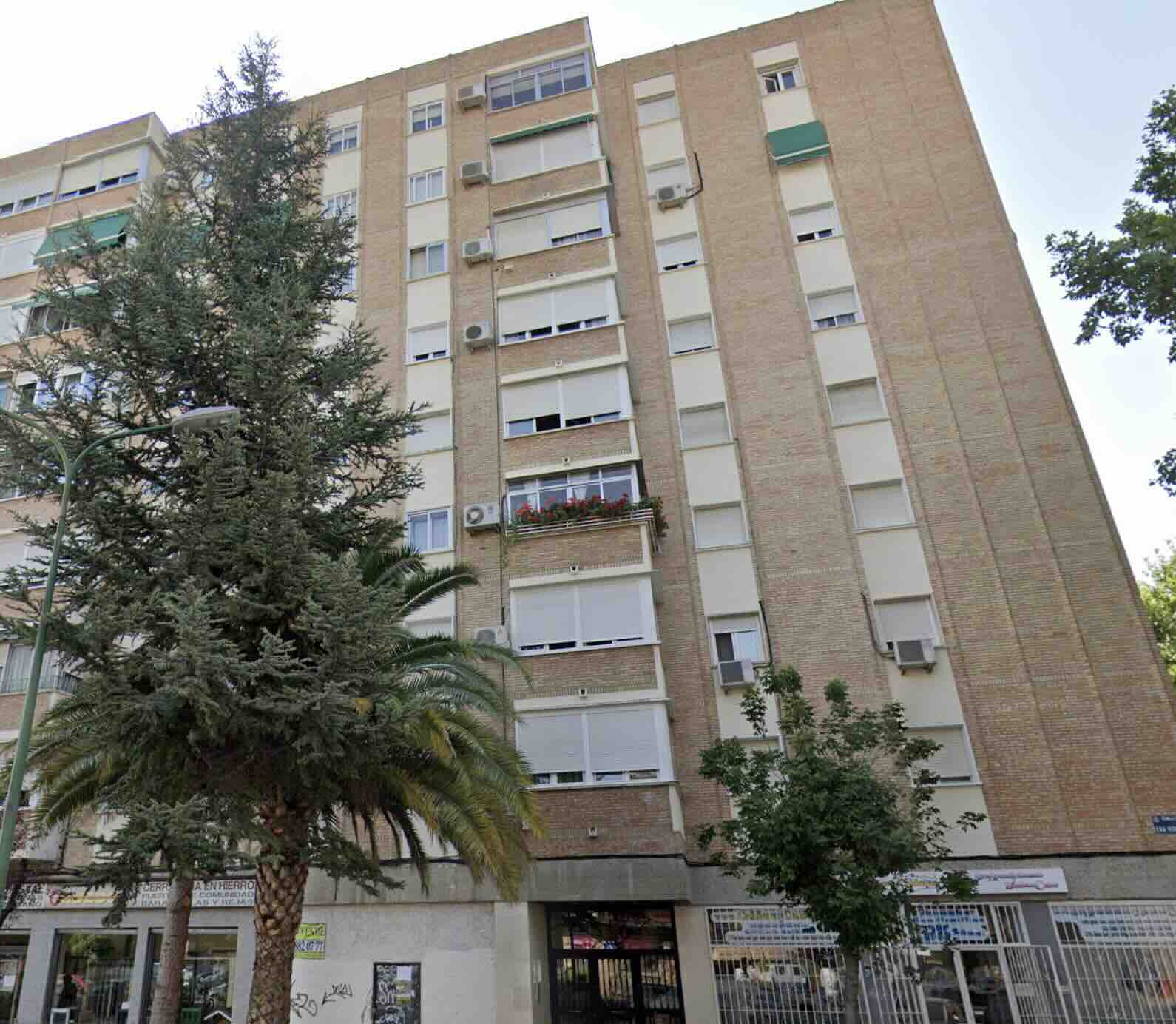 Inmueble en PISO-Eran Honda 1 Alcalá de Henares (Madrid)