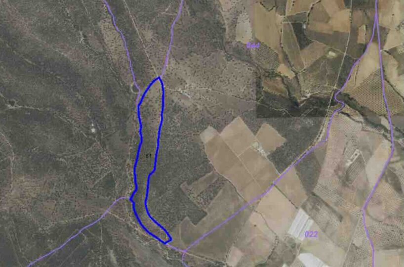 rústico , polígono 44 Parcela 61 Villa del Prado