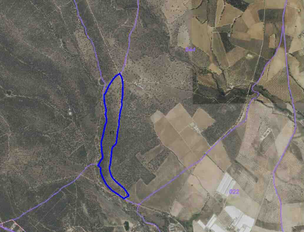 rústico , polígono 44 Parcela 61 Villa del Prado