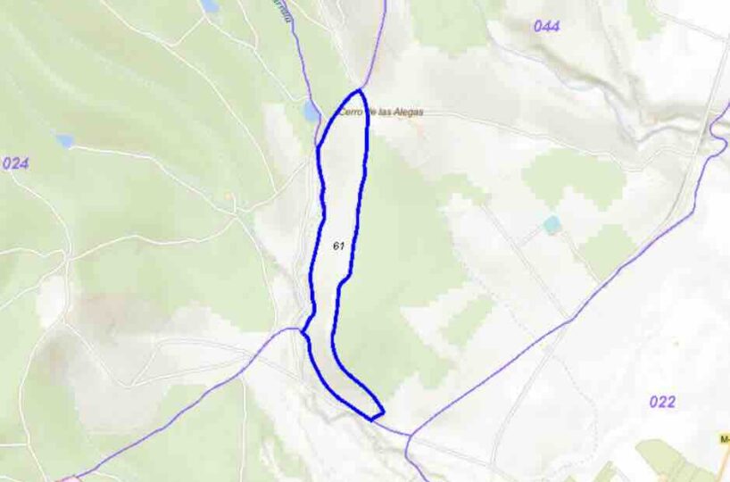 rústico , polígono 44 Parcela 61 Villa del Prado