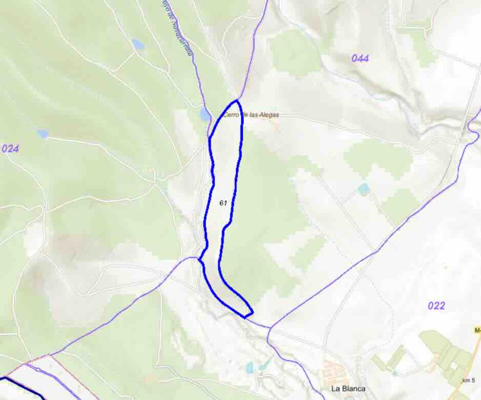 rústico , polígono 44 Parcela 61 Villa del Prado